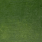 W&N OIL PAINT STICK 50 ML - CHROME OXIDE GREEN