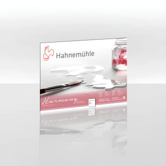 HAHNEMUHLE СКИЦНИК HARMONY MATT 30/40СМ, 300ГР, 12Л.