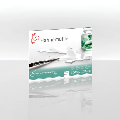 HAHNEMUHLE SKETCHBOOK HARMONY SATINATED 30/40CM, 300G, 12SHEETS.