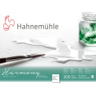HAHNEMUHLE СКИЦНИК HARMONY SATINIERT 30/40СМ, 300ГР, 12Л.