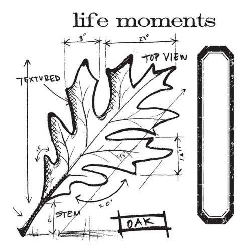 SIZZIX FRAMELITS ЩАНЦИ ЗА ИЗРЯЗВАНЕ - LEAF BLUEPRINT