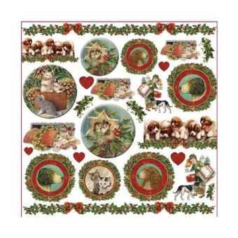 STAMPERIA DECOUPAGE RICE PAPER 50/50 - DFT234