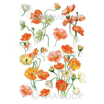 CALAMBOUR DECOUPAGE PAPER 48/33 CM - PAU 80