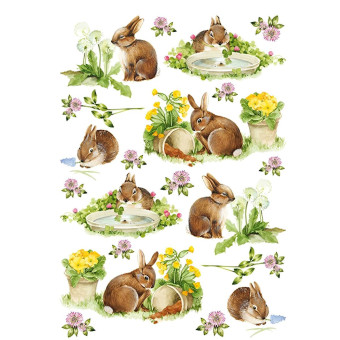 CALAMBOUR DECOUPAGE PAPER 48/33 CM - RP 53