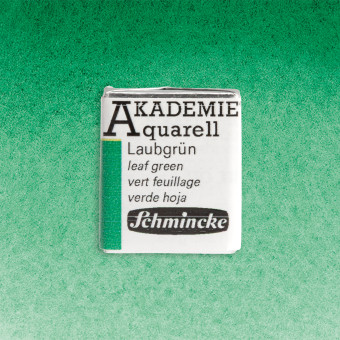 SCHMINCKE АКВАРЕЛНА БОЯ H/PAN AKADEMIE LEAF GREEN