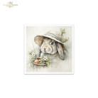 ITD COLLECTION MINI RICE PAPER К-КТ 6БР 14.8X14.8CM - RSM241