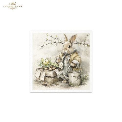 ITD COLLECTION MINI RICE PAPER К-КТ 6БР 14.8X14.8CM - RSM241