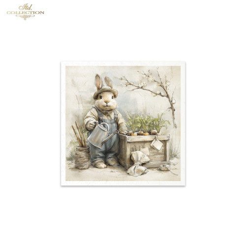 ITD COLLECTION MINI RICE PAPER К-КТ 6БР 14.8X14.8CM - RSM241