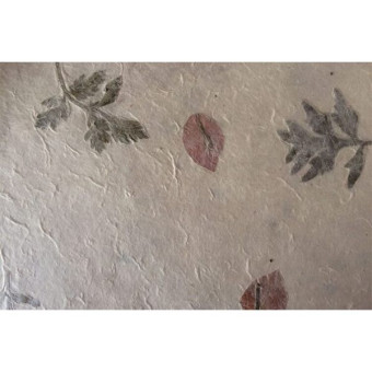 NEPAL HANDMADE PAPER F-11 60 GSM, 50/75