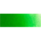 OLD HOLLAND МАСЛЕНА БОЯ 40 МЛ. - OLD HOLLAND GREEN LIGHT
