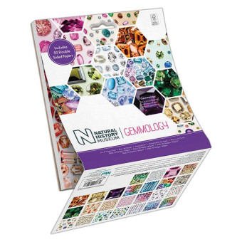 DOCRAFTS DESIGNER PAPER 15.2/15.2 CM ASSORTED-PMA160417