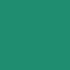 DALER ROWNEY ACRYLIC INK FW 29.5 ML - DARK GREEN 160029326