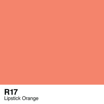 COPIC VARIOUS INK - R-17