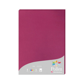CLAIREFONTAINE PAPER A4 210 GSM - BORDEAUX