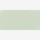 SCHMINCKE СУХ ПАСТЕЛ COLD GREEN 1, O 17080079