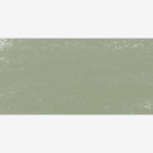 SCHMINCKE СУХ ПАСТЕЛ GREENISH GREY 1, M 17093077
