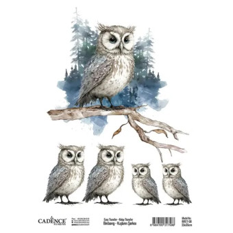 CADENCE TRANSFER DECORATION FOR TEXTILES 25X35CM - BRFT-08