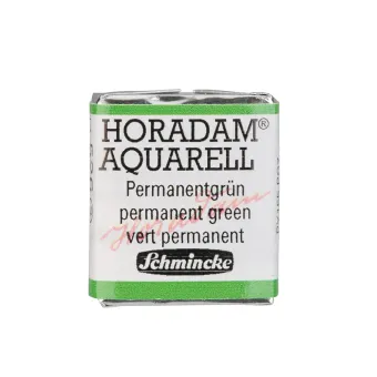 SCHMINCKE АКВАРЕЛНА БОЯ H/PAN HORADAM PERMANENT GREEN