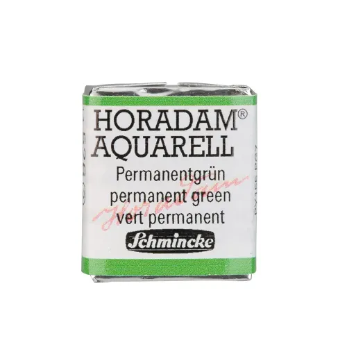 SCHMINCKE АКВАРЕЛНА БОЯ H/PAN HORADAM PERMANENT GREEN