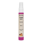 DAILY ART INK SPRAY 30 ML VINTAGE - КАРМИН