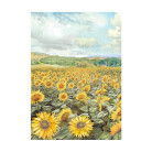 STAMPERIA SUNFLOWER ART DECOUPAGE PAPER 8 PCS A6 DFSAK6004