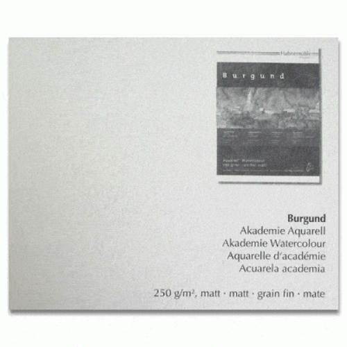 HAHNEMUHLE WATERCOLOUR PAPER BURGUND MATT 250 G 50/65 CM