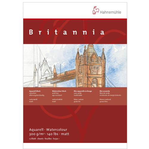HAHNEMUHLE СКИЦНИК BRITANIA MATT 300ГР 30/40 СМ 12Л.