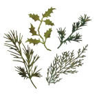 SIZZIX THINLITS ЩАНЦИ ЗА ИЗРЯЗВАНЕ - HOLIDAY GREENS