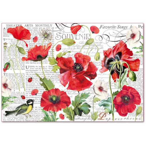 STAMPERIA DECOUPAGE RICE PAPER 48/33 - DFS408