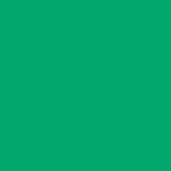 CARAN D'ACHE АКВАРЕЛНИ ПАСТЕЛИ NEOCOLOR II ЗЕЛЕН