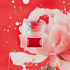 LENINGRAD WATERCOLOUR PAINT 2.5 ML. - PYRROLE RED