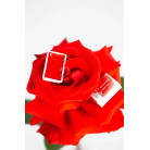 LENINGRAD WATERCOLOUR PAINT 2.5 ML. - PYRROLE RED