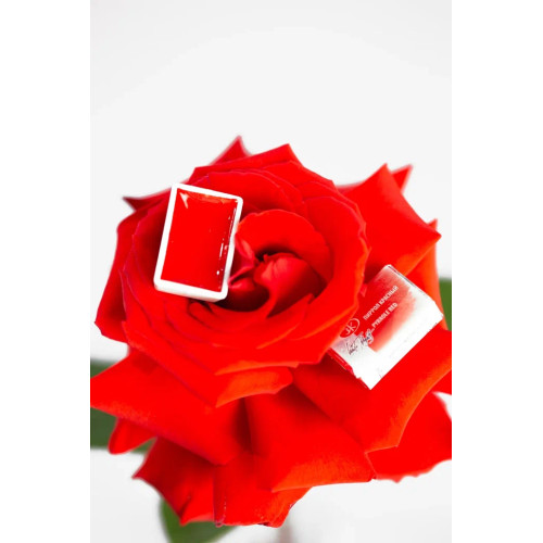LENINGRAD WATERCOLOUR PAINT 2.5 ML. - PYRROLE RED