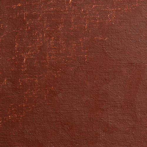 BLOCKX МАСЛЕНА БОЯ BURNT SIENNA LIGHT 35ML 213141BXC