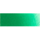 OLD HOLLAND МАСЛЕНА БОЯ 40 МЛ. - PERMANENT GREEN LIGHT