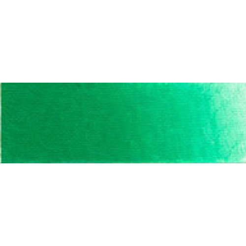OLD HOLLAND МАСЛЕНА БОЯ 40 МЛ. - PERMANENT GREEN LIGHT