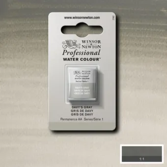 W&N АКВАРЕЛНА БОЯ PROFESSIONAL H/PAN - DAVY'S GRAY