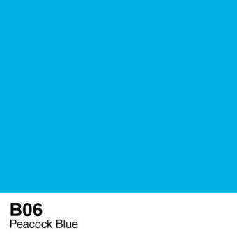 COPIC VARIOUS INK - B-06
