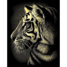 REEVES КОМПЛЕКТ ЗА РИСУВАНЕ С ИЗДРАСКВАНЕ - TIGER PPCFM62