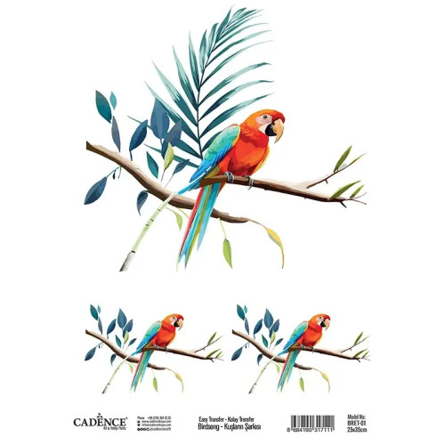 CADENCE TRANSFER DECORATION 25X35CM - BRET-01