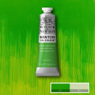 W&N OIL PAINT WINTON 37 ML. - PHTHALO YELLOW GREEN