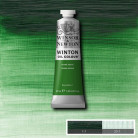 W&N OIL PAINT WINTON 37 ML. - GREEN EARTH