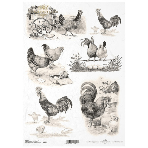 ITD COLLECTION DECOUPAGE RICE PAPER A4 - R0667
