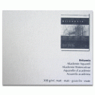 HAHNEMUHLE WATERCOLOR PAPER BRITANNIA MAT 300 GSM 50/65 CM