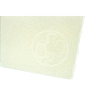 HAHNEMUHLE PRINTING PAPER WHITE 300 GSM., 78/56 CM.