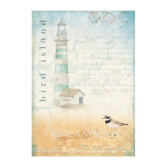 CALAMBOUR DECOUPAGE PAPER 48/33 CM - TCR 06