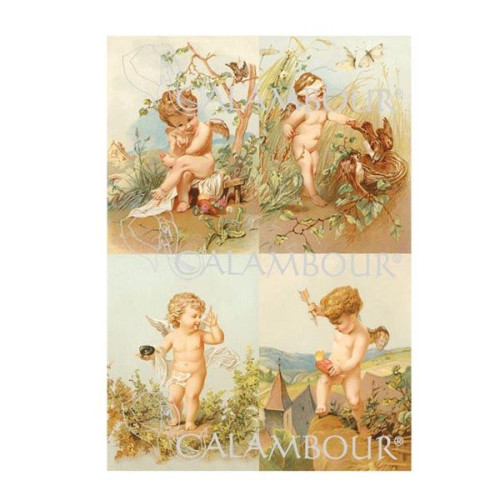 CALAMBOUR ДЕКУПАЖНА ХАРТИЯ 48/33 СМ - RP 72