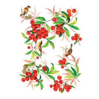 CALAMBOUR DECOUPAGE PAPER 48/33 CM - RP 57