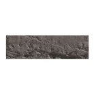 CARAN D'ACHE OIL PASTELS NEOPASTEL VAN DYKE BROWN