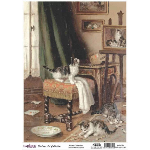 CADENCE DECOUPAGE RICE PAPER A3 - DK-014-30